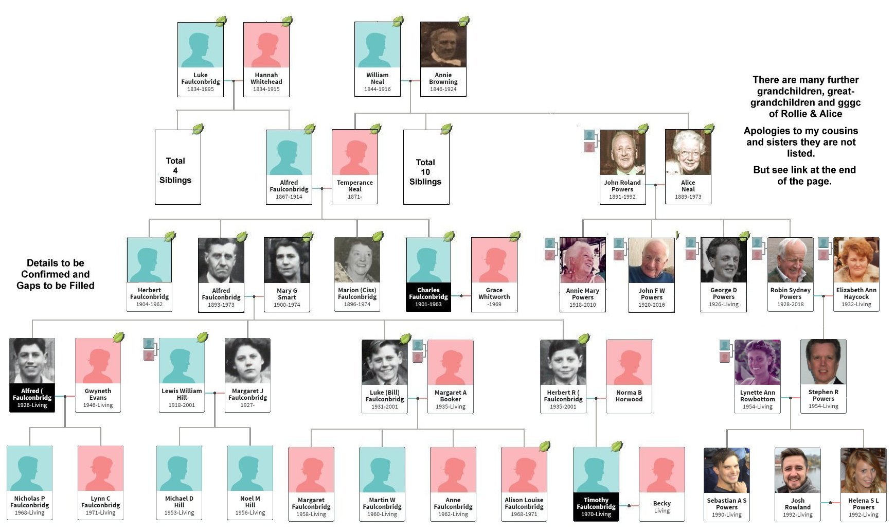 Faulconbridge Relationship